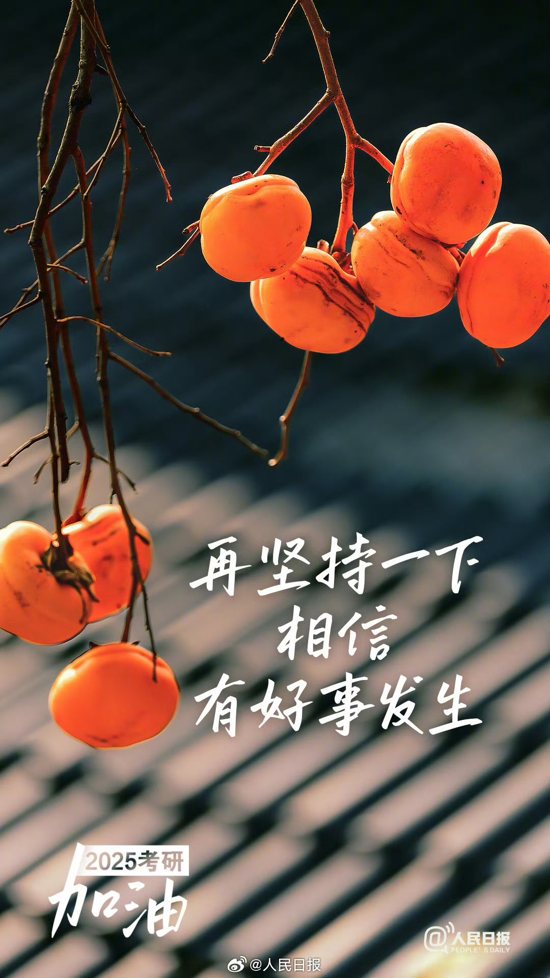 三亿体育入口-辽宁沈阳客场取得胜利，实现关键突破的简单介绍