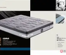 蕾丝特城黑马之姿，表现抢眼令人惊艳的简单介绍