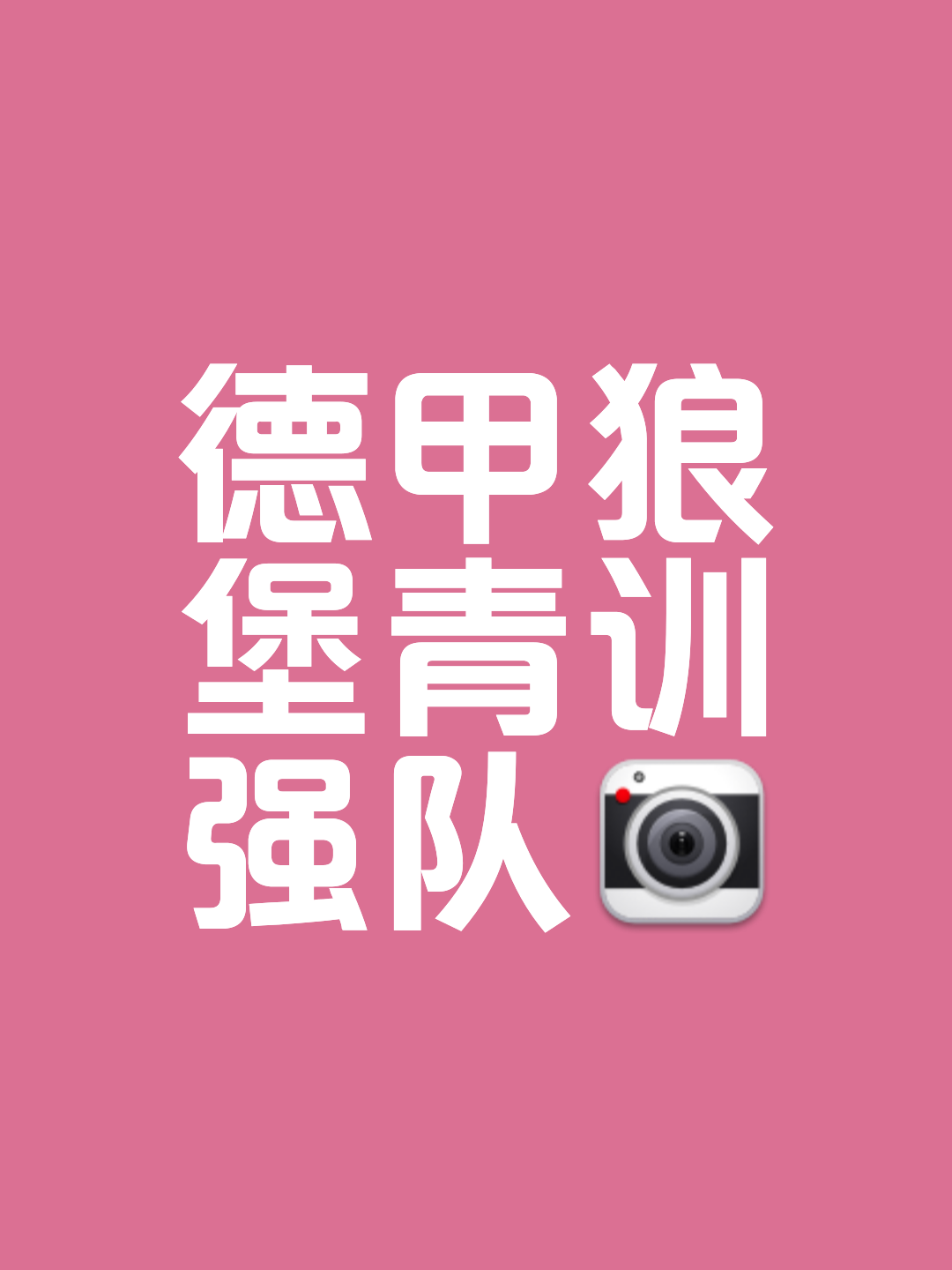 沃尔夫斯堡连胜开启胜利之门，士气高涨
